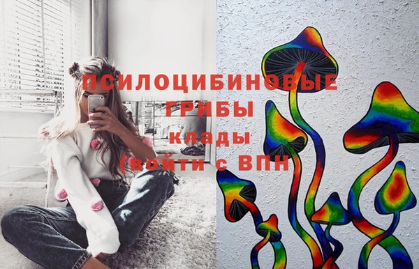 ПСИЛОЦИБИНОВЫЕ ГРИБЫ Ростов