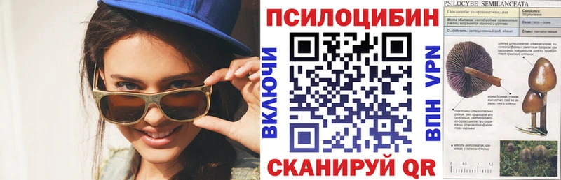 Псилоцибиновые грибы мухоморы  Волчанск 
